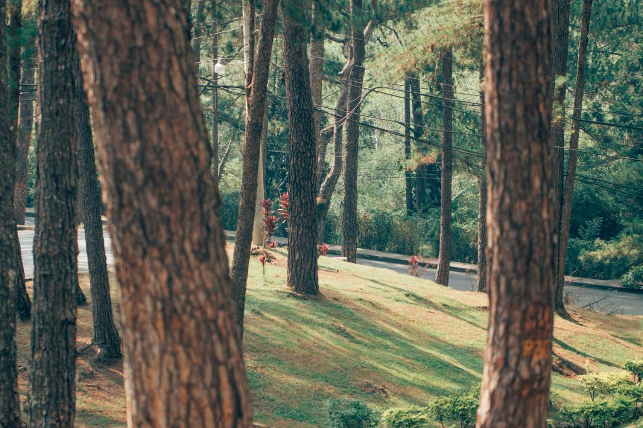 Azalea Residences Baguio Baguio City Dış mekan fotoğraf